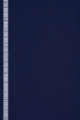 Blue Raw Silk Saree