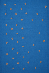 Silver-Blue Tissue Silk Saree
