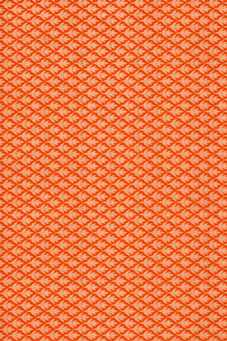 Orange Organza Saree