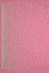 Mauve Organza Hand Work Saree