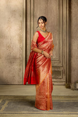 Rusty Ren Tissue Silk Saree