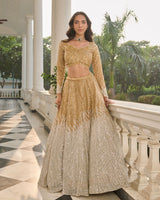 shimmeringsleeve Lehenga 1201