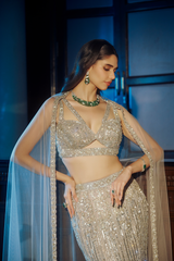 Evening Glam Fish-cut Lehenga -500