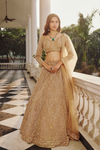 Shimmering sequins Lehenga 7715