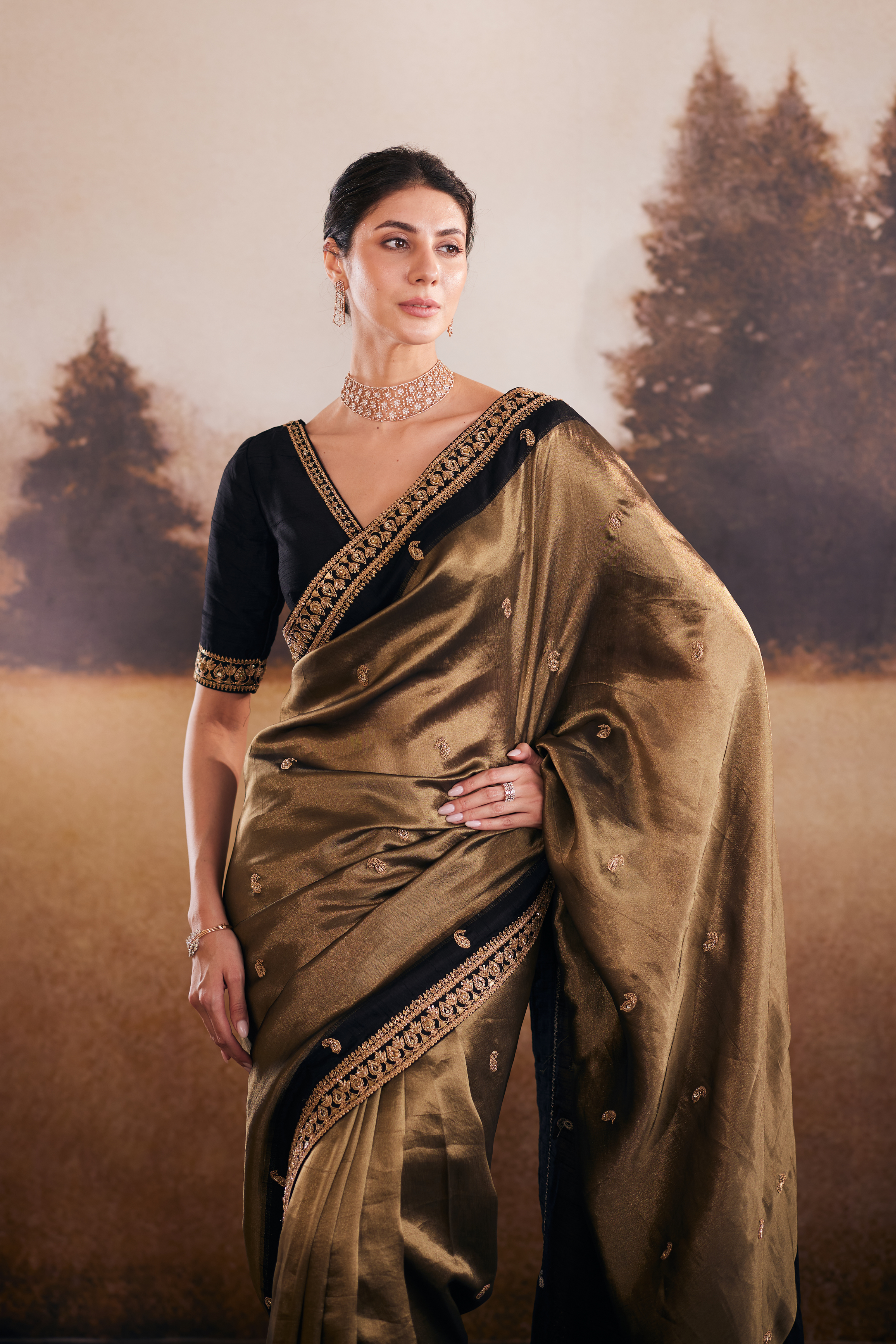 Midnight Saree