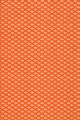 Orange Organza Saree