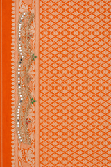 Orange Organza Saree