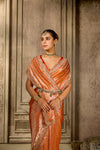 Orange Organza Saree