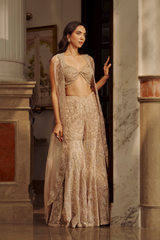 Royal Ethnic Sharara - 115-1584