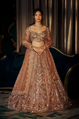 Wrapped in Gold Lehenga - 251037