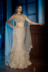 Evening Glam Fish-cut Lehenga -500
